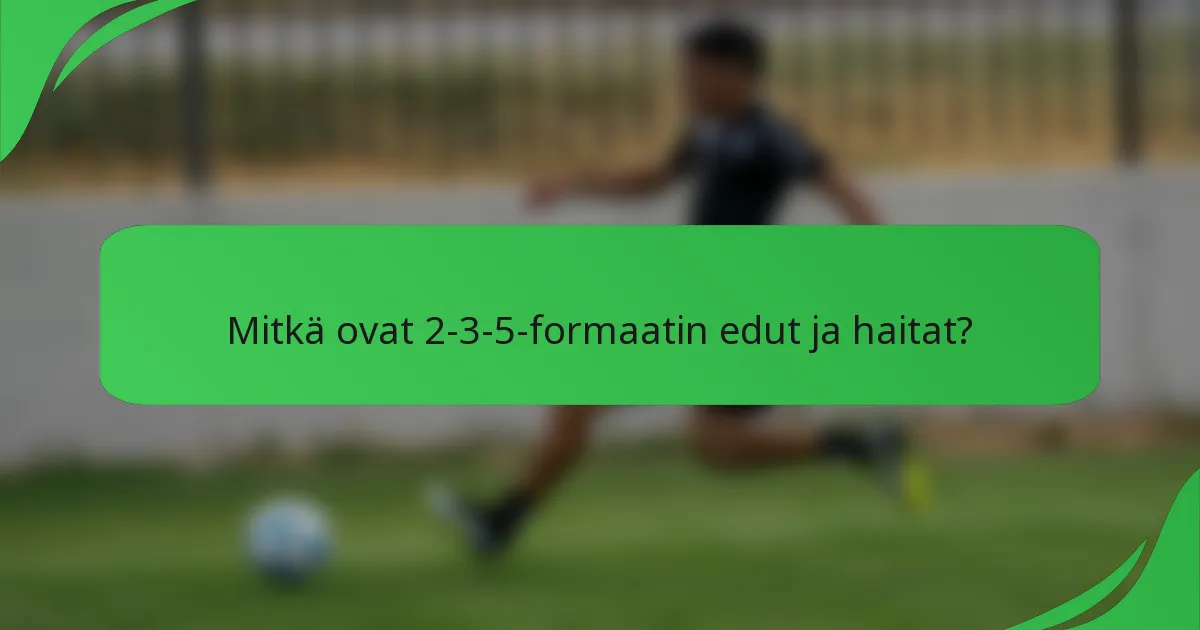 Mitkä ovat 2-3-5-formaatin edut ja haitat?